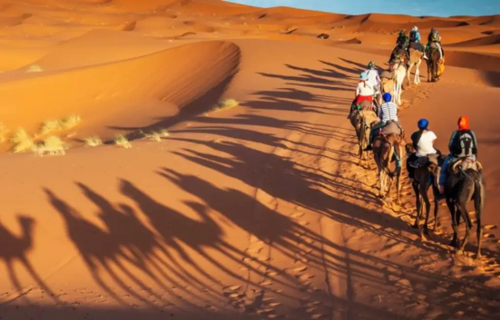 Abu Dhabi desert tour
